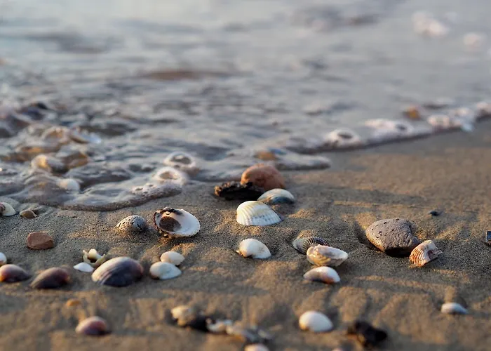 Apartment Getaway One Bedroom Flat With Ac Bibione